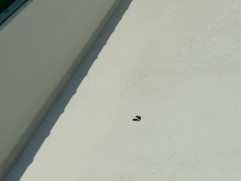 画像小 12枚目