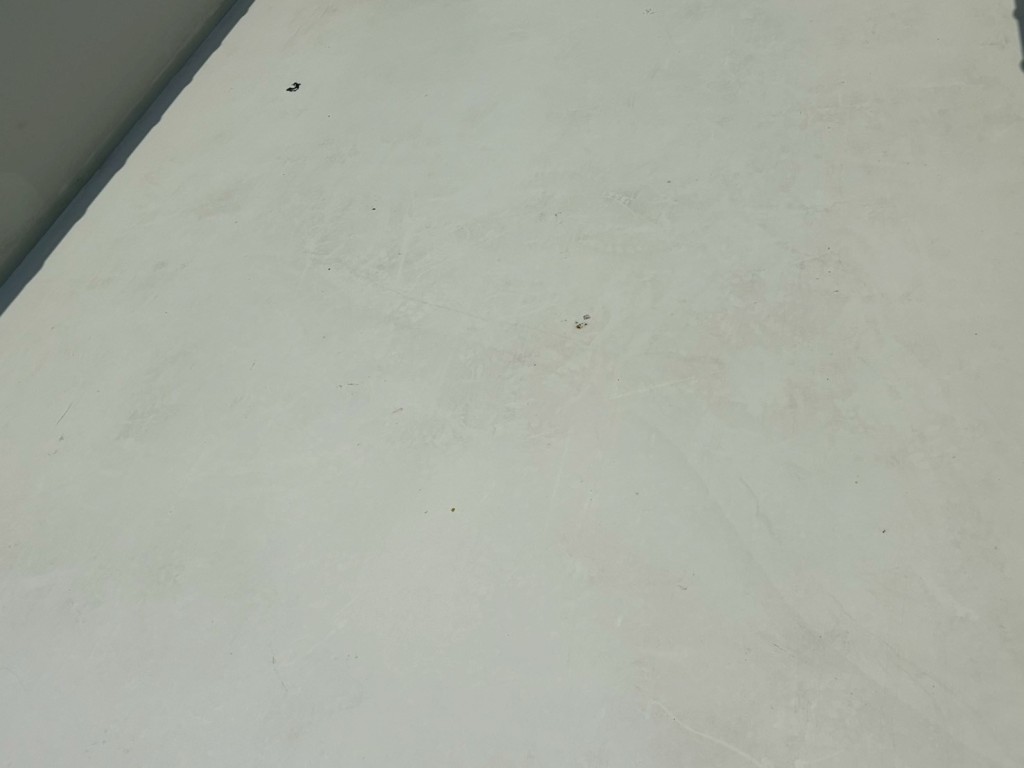 画像大 13枚目