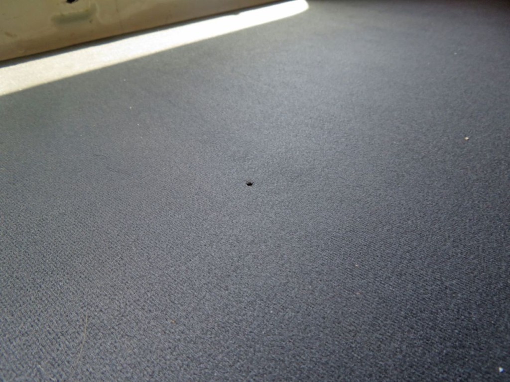 画像大 30枚目