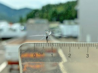 画像小 33枚目