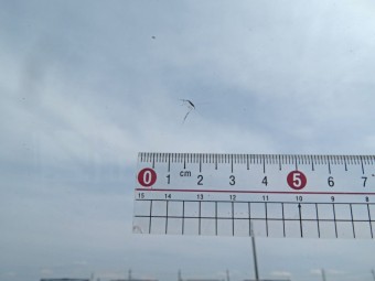 画像小 20枚目